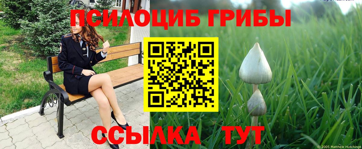 Галлюциногенные грибы мицелий  Вход с VPN  Старая Купавна  Галлюциногенные грибы GOLDEN TEACHER 